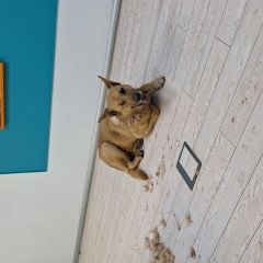 ����: ������� ������  �������� ������ ������ ����� �� ��� �����...� � �. �������������