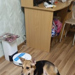 ����: ������� ������  �������� ������ � ������ ������ - ������ ��� � �. ���