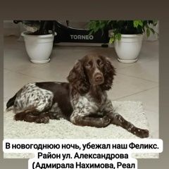 ����: ������� ������ ������� ��������� �������� ���������� ������� ������ ������.� � �. ���������