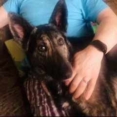 ����: ������� ������ ����������� ������� �������� ������ ��������� ������� ������� � �. �������