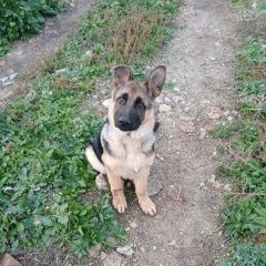 ����: ������� ������ �������� ������� �������� ������ ������ � ���� �� 2 �� 3 ������...� � �. ��������