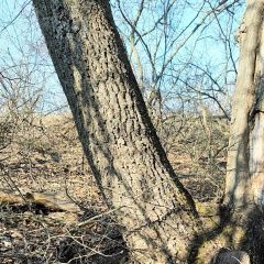 ����: ������� ������ ����������� ������� �������� ������ ������ �� � �. ������ ��