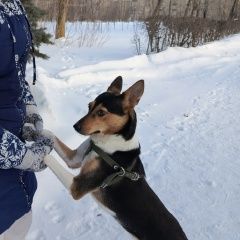 ����: ������� ������  ������� ������� ������ ������� ������� � �. ������