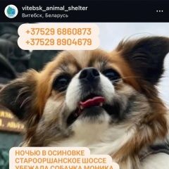 ����: ������� ������  �������� ������� ������ � �. �������