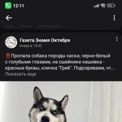 ����: ������� ������ ��������� ����� �������� ������ ������ ����� ����� � �. �����