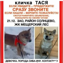 ����: ������� ������  �������� ������ ����-���, �������, ��������� ������ � �. ������