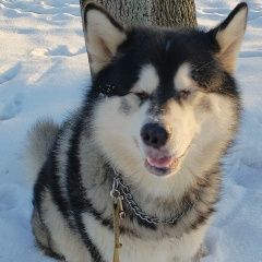 ����: ������� ������ ����������� ������� �������� ������ ������ ������ � �. ������