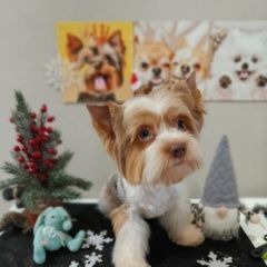 ����: ������� ������ ����������� ������ �������� ������ ������ ���������� � �. ����������