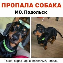 ����: ������� ������ ����� �������� ������ ������ ����� ������ �������� � �. ��������