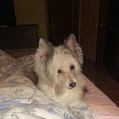 ����: ������� ������  �������� ������ ������ ������ �������� � �. �������