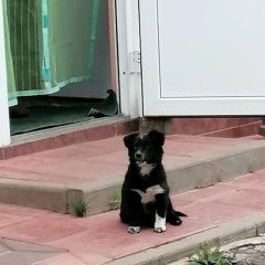 ����: ������� ������  ����������� ������� ������ � �. ����������