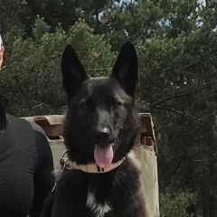 ����: ������� ������  ������� �������� ������� ������ � �. ������ ��������