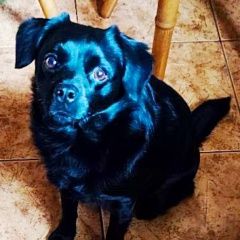 ����: ������� ������  ������ ������� ������ ������ �������� ����� � �. �����