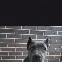 ����: ������� ������ ����-����� ������� ������� ������ ����� ������ ����� ����� � �. ������