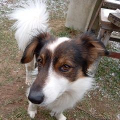 ����: ������� ������  ������� ������� ������ ������� � �. ������