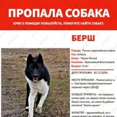 ����: ������� ������ ������-����������� ����� �������� ������ ������ ��������� � �. ��������