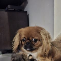 ����: ������� ������ ������� �������� ������ ������ ������� ��������� � �. ���������