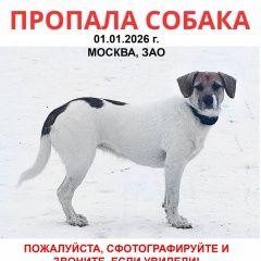 ����: ������� ������  �������� ������ ������ � �. ������