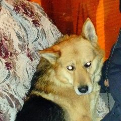 ����: ������� ������ �������� ������� �������� ������ ������ �������� � �. �������