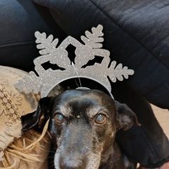 ����: ������� ������  �������� ������ ������� ������ ������ � � ������� � �. �������