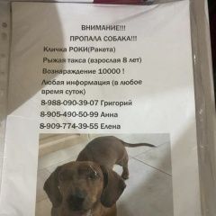 ����: ������� ������  �������� ������ ����������� � �. ����������