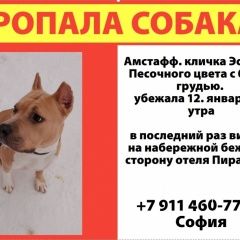 ����: ������� ������ ������������ ��������������� ������ �������� ������ ������� ������������� � �. �������������