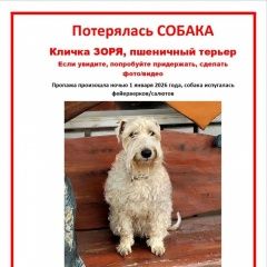 ����: ������� ������ ��������� ������������� ������ �������� ������ ��������������� (��������.)� � �. ��������������� (��������.)