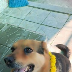 ����: ������� ������  �������� ������ ����, ����� ������� ���������� � �. ����������