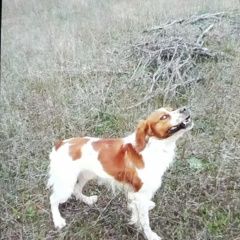 ����: ������� ������  �������� ������ ������ ���� � �. ����