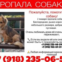 ����: ������� ������  �������� ������ �������� ������� ��������� � �. ���������