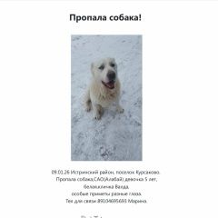 ����: ������� ������ ��������������� ������� �������� ������ ������ ����� � �. �����