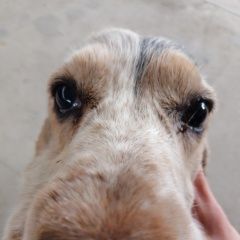 ����: ������� ������  �������� ������ ������ ������ � �. ������