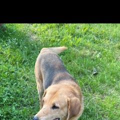 ����: ������� ������  �������� ������ ������ ���������� ����� � �. ���������� �����