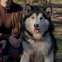 ����: ������� ������  �������� ������ ������ ������� � �. ������