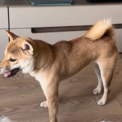 ����: ������� ������  ������� ������� ������ ������� �� �� ���������...� � �. ������