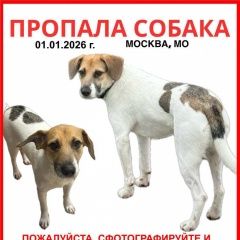 ����: ������� ������  ������� ������� ������ � �. ������