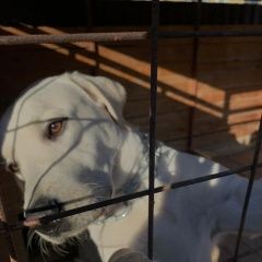 ����: ������� ������ �������� �������� �������� ������ ������ ���������� � �. ���������