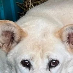 ����: ������� ������  ���������� ������� ������ ������ ������ � �. ���������