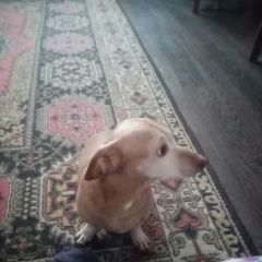 ����: ������� ������ ����� �������� ������� ������ ������� � �. �������