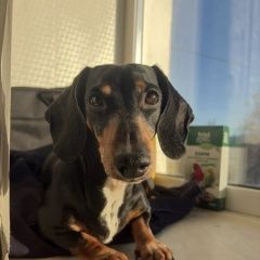 ����: ������� ������  ���� ������� ������ � �. ���