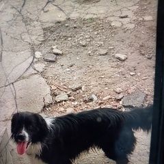 ����: ������� ������  �������� ������ ������ ���������� � �. ����������