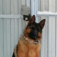 ����: ������� ������ �������� ������� �������� ������ ������ ���� 19 ������ ����������...� � �. ���������� �����