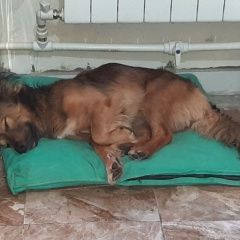 ����: ������� ������  �������� ������ ������ ���� � �. ����