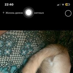 ����: ������� ������  ������������ ������� ������ � �. �����������