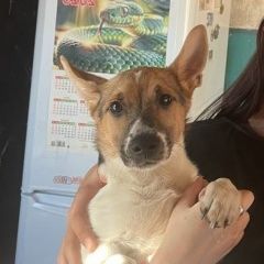 ����: ������� ������ ���� ������ ������ ��������� ������� ������ ������� � �. ��������