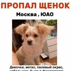 ����: ������� ������  ������� ������� ������ ����� � �. ������