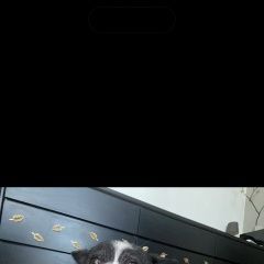 ����: ������� ������  ������� ������� ������ � �. ������