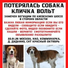 ����: ������� ������ ����� ������� ������� ������ ������ �������� ����� � �. ������