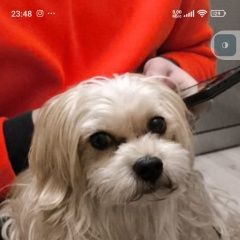 ����: ������� ������ ����������� ������ �������� ������ ������ � �. �������� ���� � �. ����