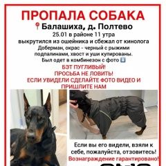 ����: ������� ������ �������� ��������� ������� ������ ������� � �. ��������